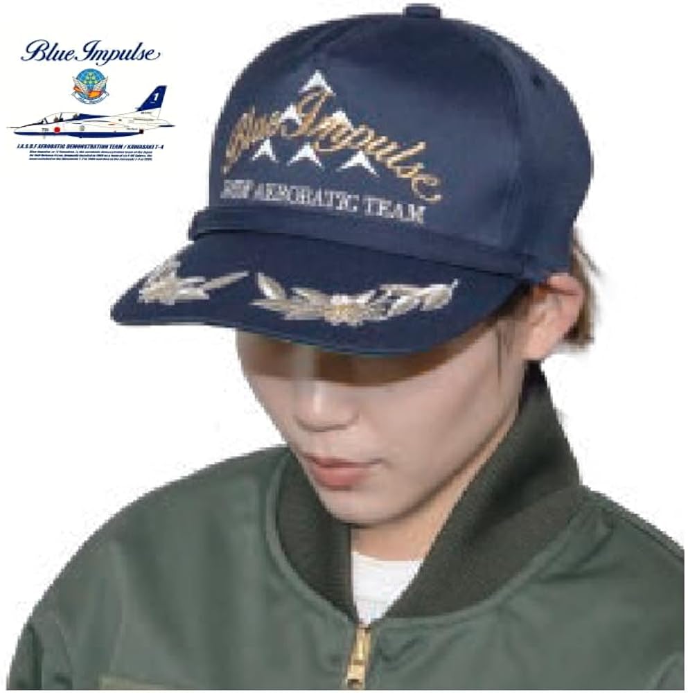 Amazon | [JASDF] ブルーインパルス 飛行展示・サイン会装着 （佐官